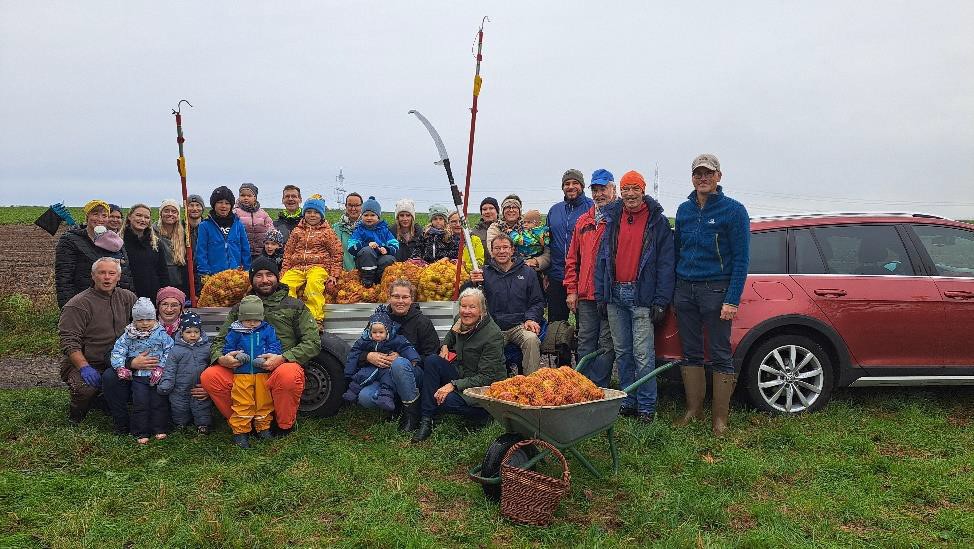 Apfelsaft aus Wolkener Äpfeln – Apfelernte auf der Streuobstwiese